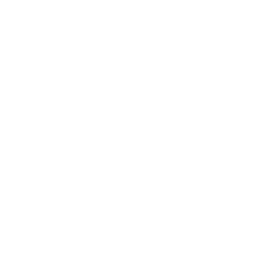 zigzag-moustache-11.png